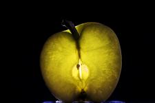 Apfel
